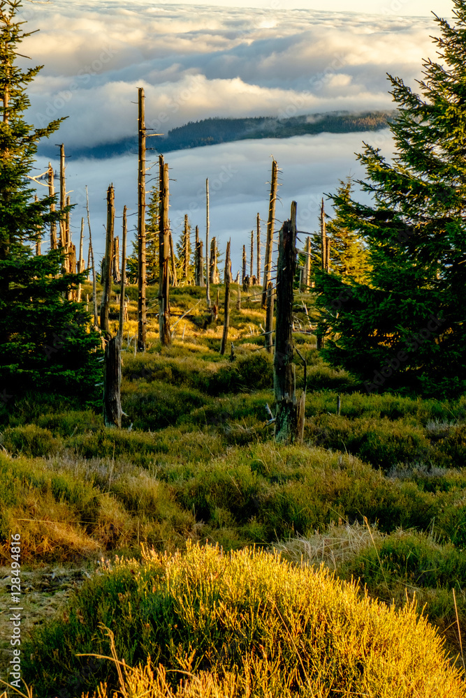 mountain roads collection