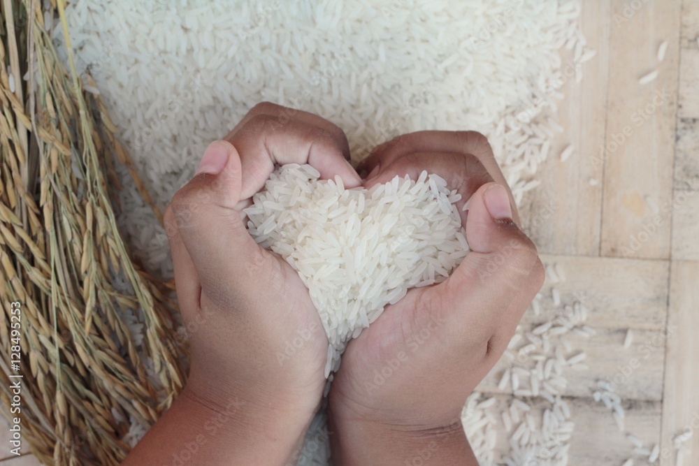 Jasmine rice and rice grains for the harvest. Jasmine rice and rice grains for the harvest.