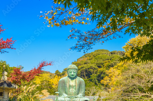 The Great Buddha in Kamakura.  Foreground is maple tree.Located in Kamakura, Kanagawa Prefecture Japan. © e185rpm