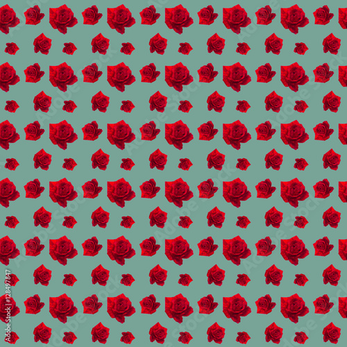 pattern red rose