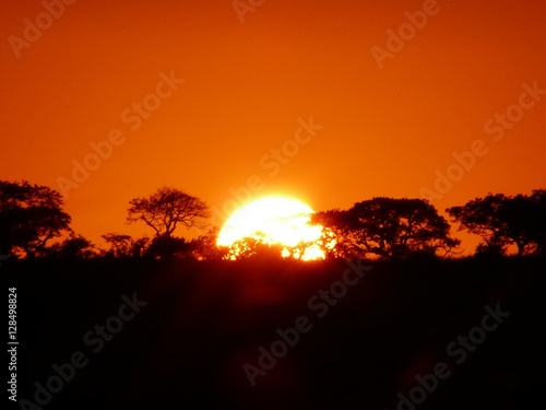 Sonnenaufgang in der Savanne, Südafrika