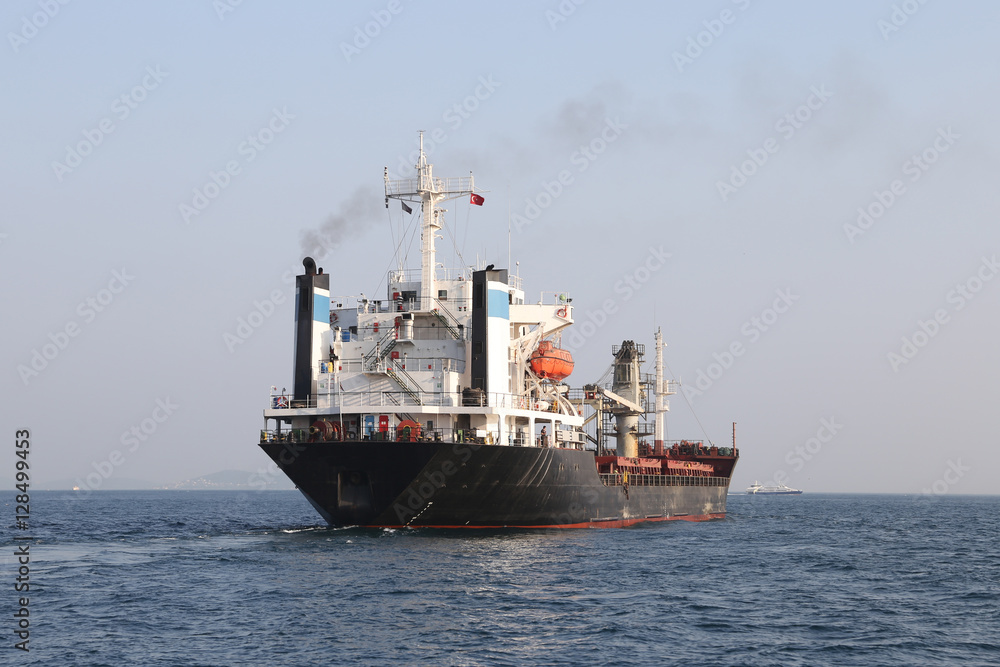 Cargo Ship in Sea