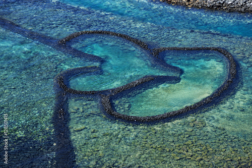 The  clover  shape of shallow reef  in Penghu