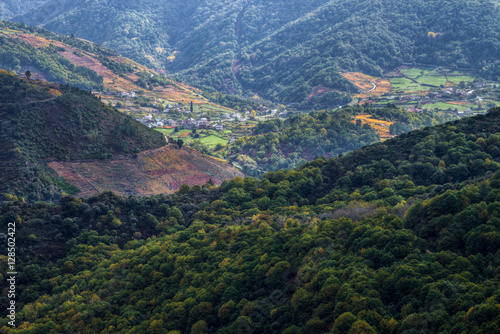 Landscape of forests, vineyards and small villages © Luis Vilanova