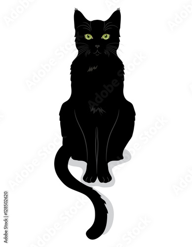 Fotografia, Obraz Black cat with green eyes