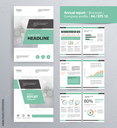page layout for company profile, annual report, brochure, and flyer layout template. with info graphic element. and vector A4 size for editable