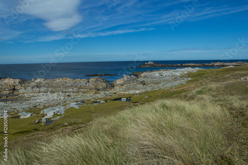 rocky beach of Falkland Islands