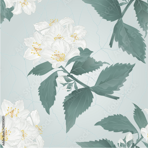Seamless texture twig spring flower jasmine and buds cracks in the porcelain vintage vector illustration