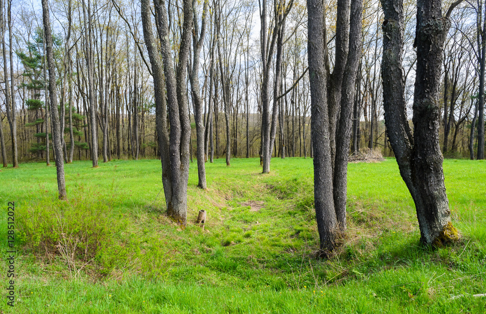 Fototapeta premium Pithole