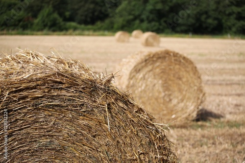 bottes de foin