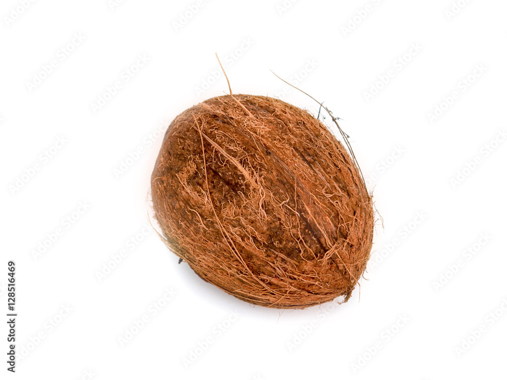 Coconut isolated on white Background Coconut isolated on white Background