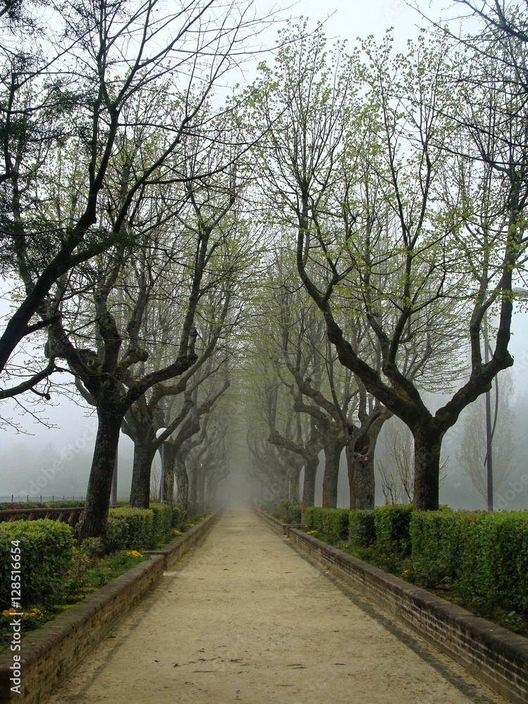 Sorrow alley in autumn in the fog. Mysterious Gothic. Sorrow alley in autumn in the fog. Mysterious Gothic.