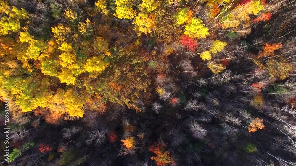 Looking Straight Down on Autumn Colors, Trees, Scenic Forests. Scenic Aerial View. Looking Straight Down on Autumn Colors, Trees, Scenic Forests. Scenic Aerial View.
