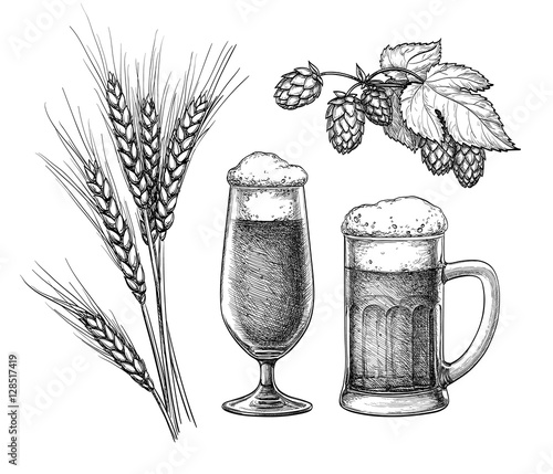 Hops, malt, beer glass and beer mug