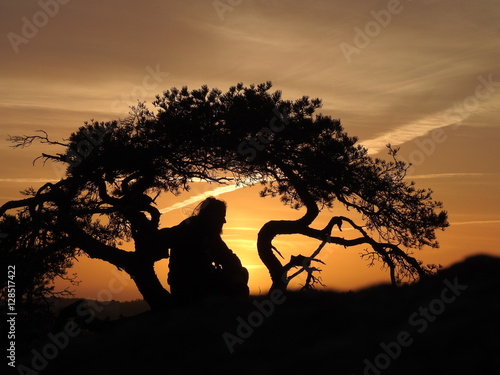 silhouette of a man and a pine tree in the sunset