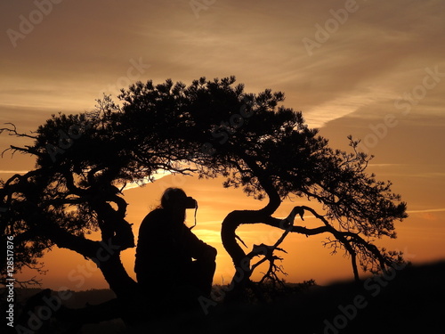 silhouette of a man and a pine tree in the sunset
