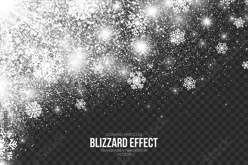 Snow Blizzard Effect on Transparent Background Vector Illustration. Abstract bright white shimmer glowing scatter falling round particles, lights and snowflakes