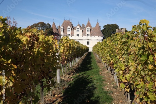 vigne et château  photo