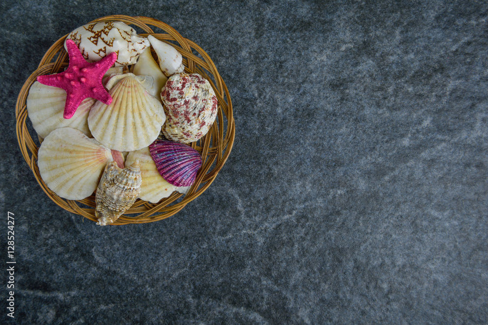 Fototapeta premium shells and starfish on a stone cold background 