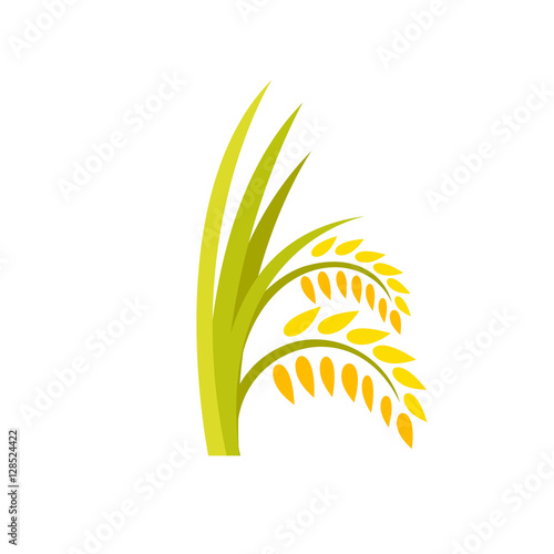 Ears of rice plant icon