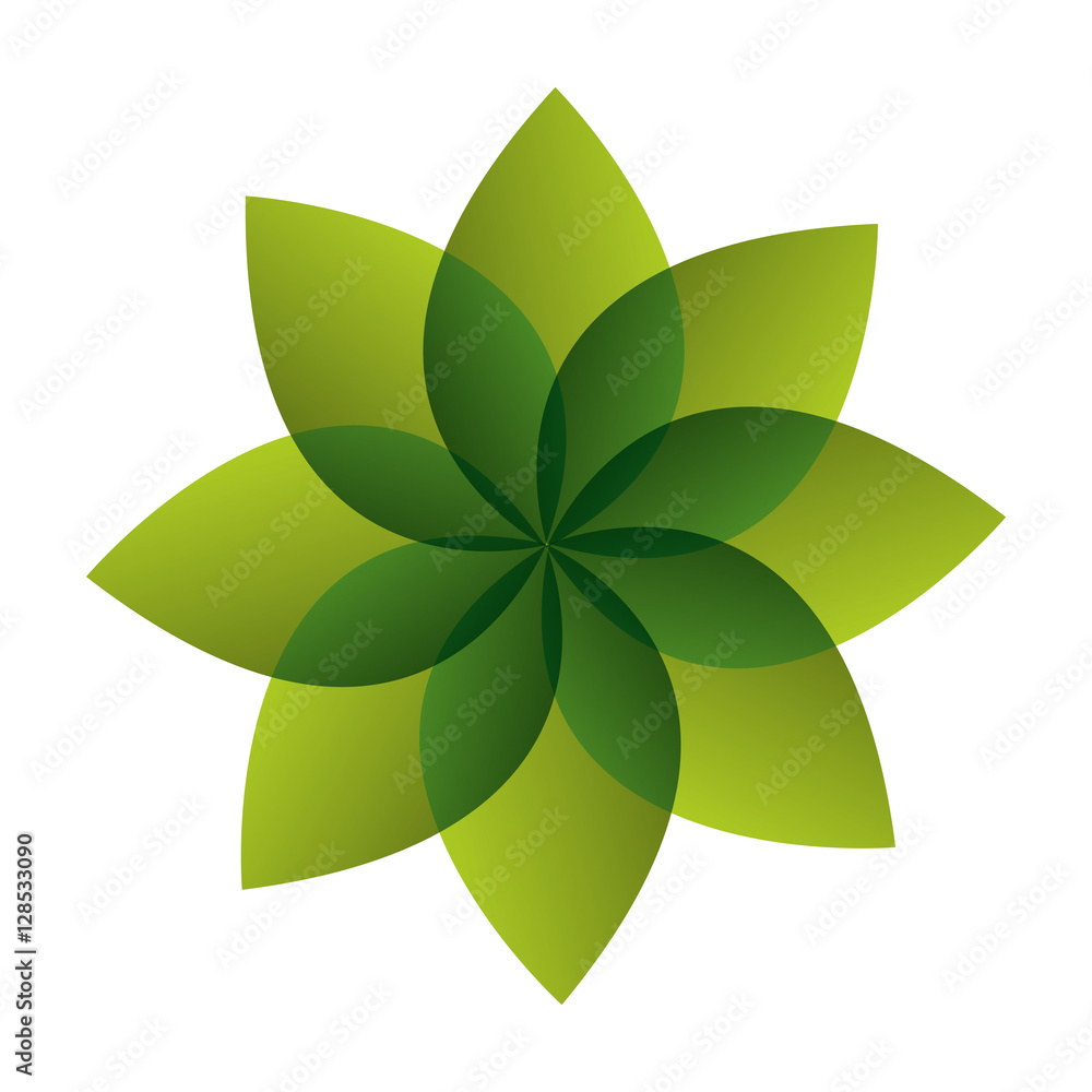 plant leafs isolated icon vector illustration design plant leafs isolated icon vector illustration design