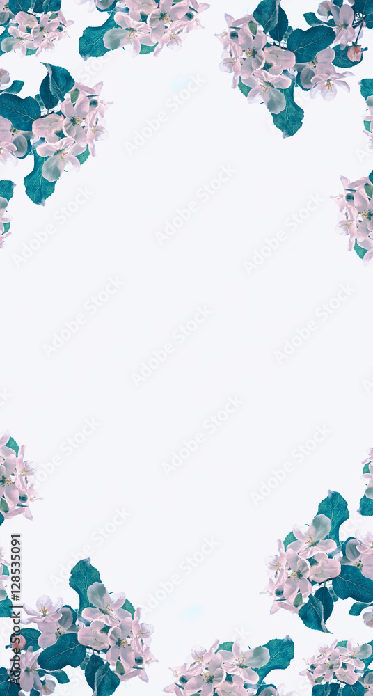 Blossoming branch apple. Bright colorful spring flowers Blossoming branch apple. Bright colorful spring flowers