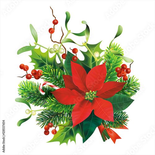 Christmas decoration with fir, mistletoe, holly branches and poinsettia flower. Isolated on white. Vector illustration.