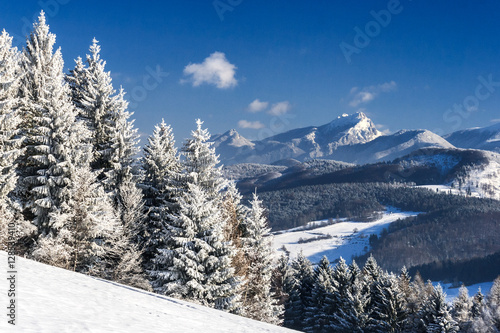 snowy landscape, The Great Rozsutec hill on background, national park Mala Fatra in Slovakia, central Europe
