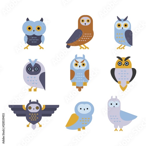 Owl wild bird cartoon vector.