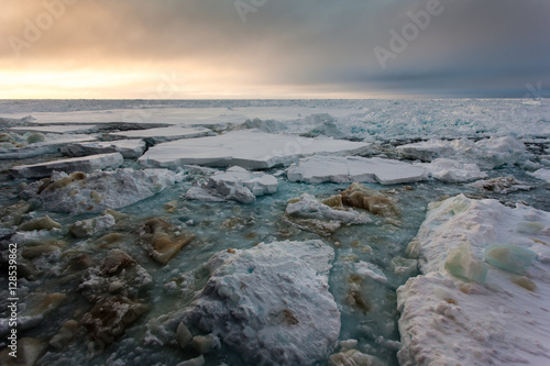 Panorama of ice-covered ocean