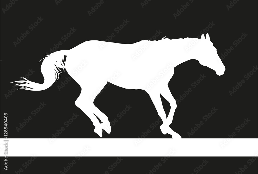 horse silhouette horse silhouette