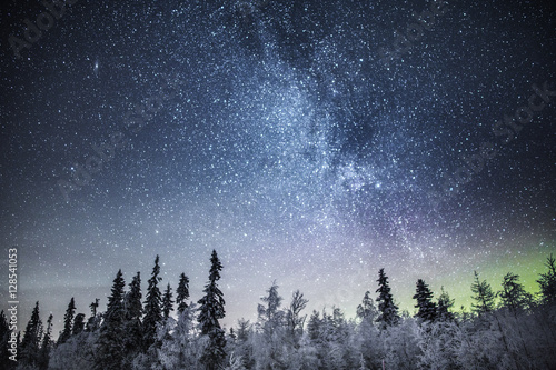 Northern lights and woodland, Lapland, Finland, Scandinavia, Europe  photo