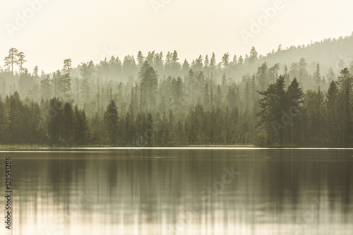 Forest and lake in fog, Lapland, Finland, Scandinavia, Europe 