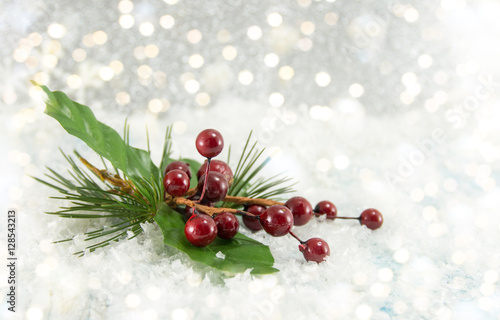 Mistletoe Christmas decorations and festive lights