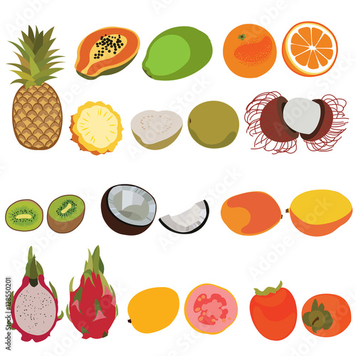 Fototapeta Naklejka Na Ścianę i Meble -  Tropic fruit isolated vector set illustration. Flat style vector set of fruits.