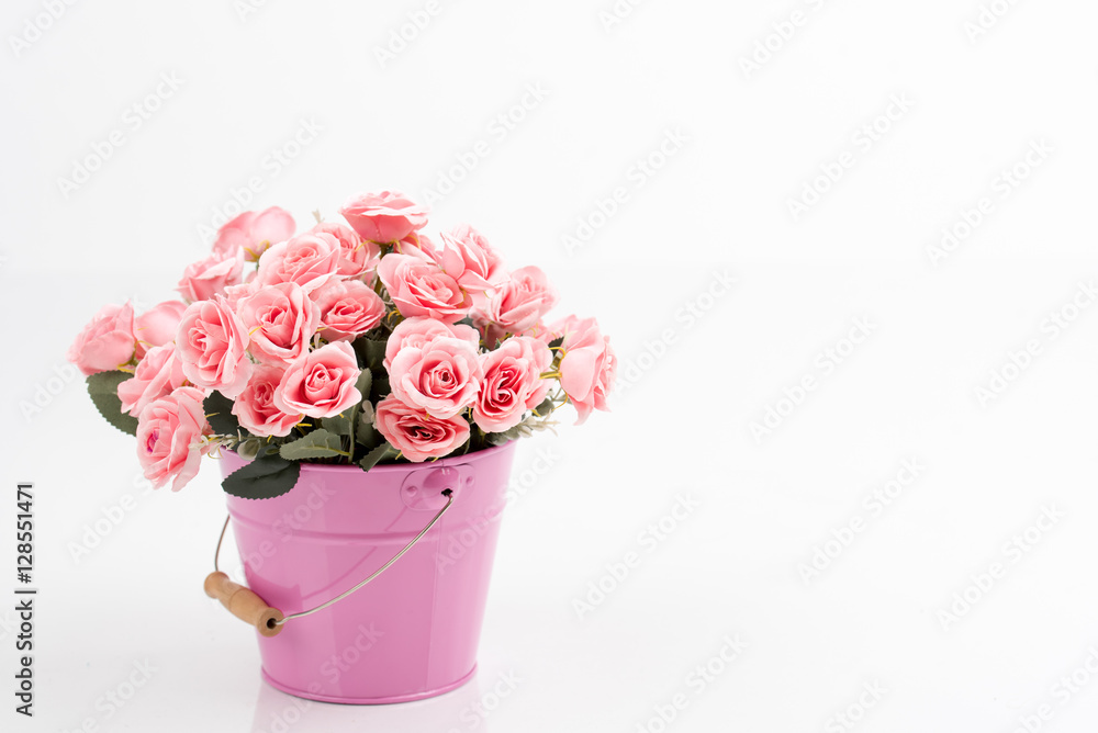 Romantic decor of pink rose flower bouquet in the pink iron (metal) bucket/container. Isolated background. Greeting card with flowers. Romantic decor of pink rose flower bouquet in the pink iron (metal) bucket/container. Isolated background. Greeting card with flowers.
