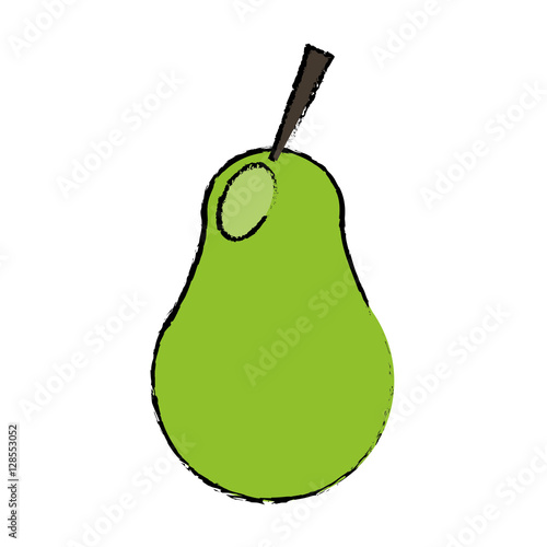 harvest pear fruit nature drawing vector illustration eps 10