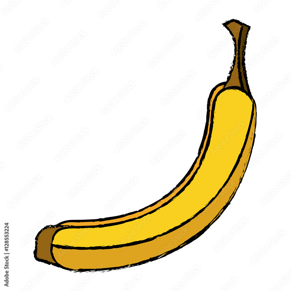 banana appetizing fruit nature drawing vector illustration eps 10