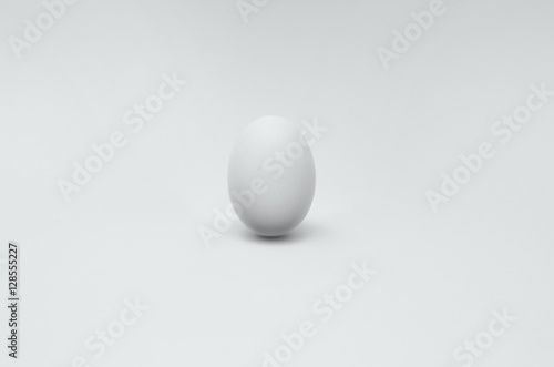 卵 白い egg 