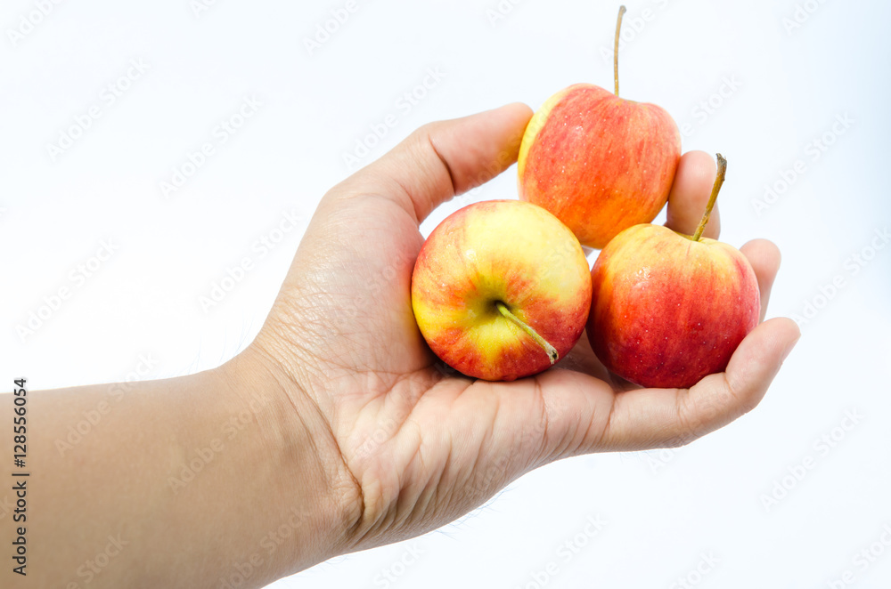 Isolated of apples in hand on white background Isolated of apples in hand on white background