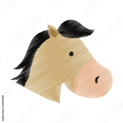 isolated horse cartoon icon vector illustration graphic design