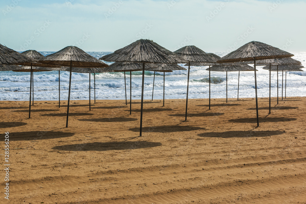 Fototapeta premium Sunshades on the beach on Cyprus
