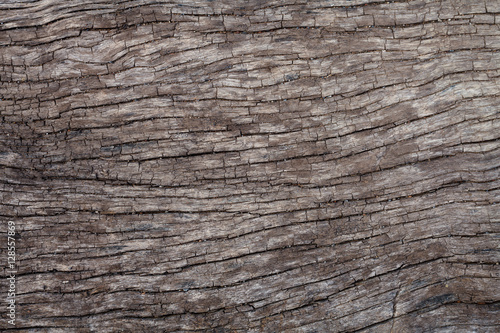 Old wood texture background on nature