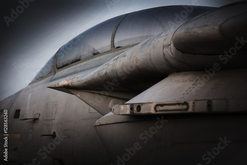 фотографія Tomcat Muscle