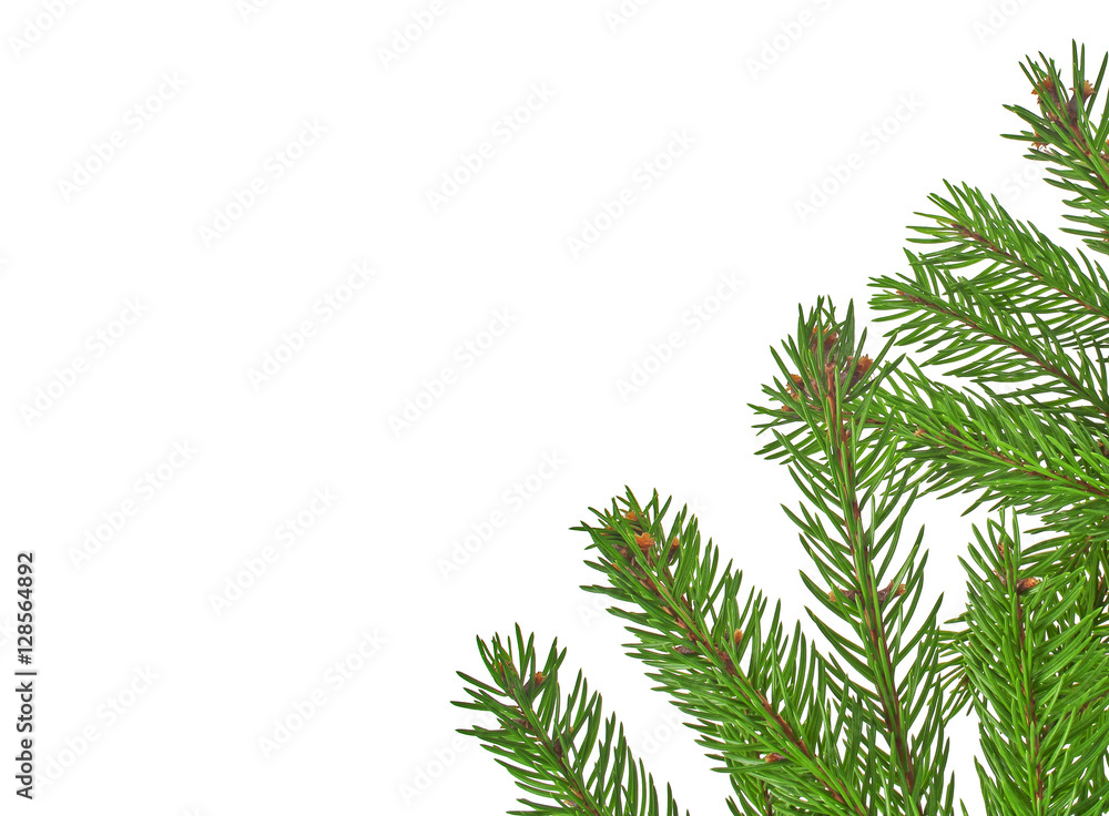 Christmas green framework isolated on white background Christmas green framework isolated on white background
