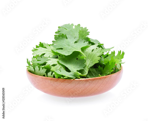 Coriander. coriander leaf in a wooden bowl isolated on white bac
