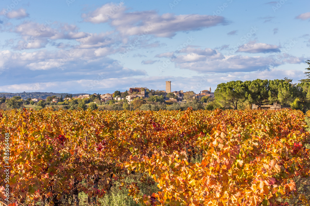 village dans les vignes en automne, la Rouvière, Gard, France 