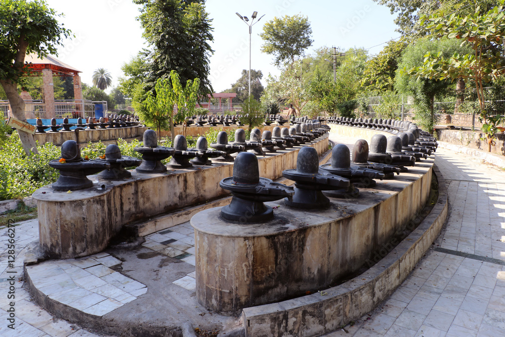 Shivpuri Dham Kota, Rajasthan is the only place where we able to see 525 Shivlingas. One shivling is 15 feet high & made of single black stone. Devotees come here to fulfill their wishes. Shivpuri Dham Kota, Rajasthan is the only place where we able to see 525 Shivlingas. One shivling is 15 feet high & made of single black stone. Devotees come here to fulfill their wishes.