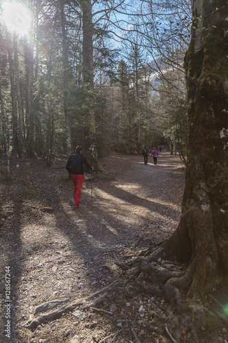 Wallpaper Mural walker Torontodigital.ca