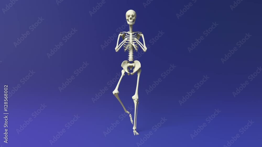 Tree Pose Of Human Skeletal Tree Pose Of Human Skeletal